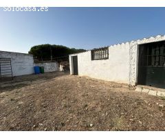 PARCELA DE 2000M2 CON CASA DE UNA PLANTA Y NAVE