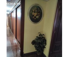 SEÑORIAL PISO EN PLENO CENTRO DE CÓRDOBA.... ¡¡¡¡N BAJADA DE PRECIO!!!!
