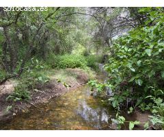 VENTA CHALET INDEPENDIENTE EN TORRELAGUNA