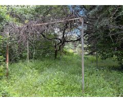 VENTA CHALET INDEPENDIENTE EN TORRELAGUNA
