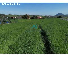 Se vende terreno en Bárcena de Cicero