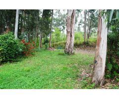 Se vende terreno con mobil home en Plentzia