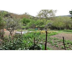 Se  vende terreno urbano en la Puebla de Arganzón