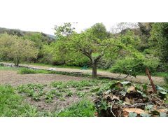 Se  vende terreno urbano en la Puebla de Arganzón