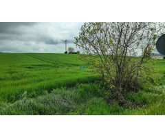 Se vende terreno industrial en La Puebla de Arganzón