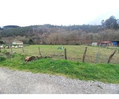 Se vende terreno urbano en Guriezo (Trebuesto)