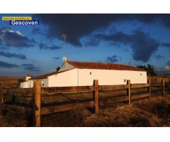EXCELENTE FINCA RÚSTICA 37 HTAS. ABUNDANTE AGUA Y PASTOS, ELECTRICIDAD, EDIFICACIONES Y VACUNADERO