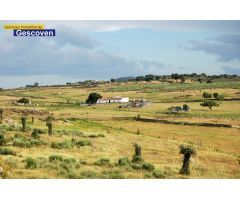 EXCELENTE FINCA RÚSTICA 37 HTAS. ABUNDANTE AGUA Y PASTOS, ELECTRICIDAD, EDIFICACIONES Y VACUNADERO