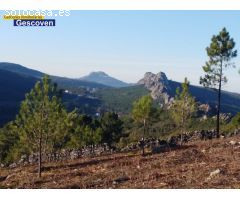 TERRENO RÚSTICO EN LA MONTAÑA