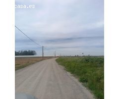 Terreno rural en Venta en Los Palacios y Villafranca, Sevilla