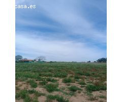 Terreno rural en Venta en Los Palacios y Villafranca, Sevilla