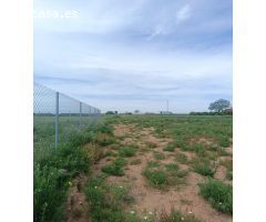 Terreno rural en Venta en Los Palacios y Villafranca, Sevilla