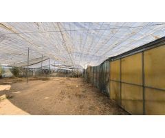 Terreno rural en Venta en Los Palacios y Villafranca, Sevilla