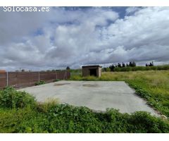 Terreno rural en Venta en Los Palacios y Villafranca, Sevilla