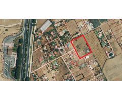 Terreno rural en Venta en Los Palacios y Villafranca, Sevilla