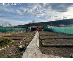 Finca Rústica en Arre: Tu Refugio Perfecto Cerca de Pamplona
