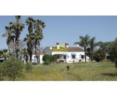 FINCA RUSTICA CON VIVIENDAS (GIBRALEON)