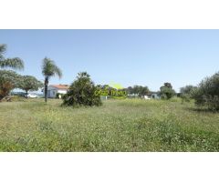 FINCA RUSTICA CON VIVIENDAS (GIBRALEON)