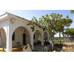 FINCA CON CASA EN CARTAYA