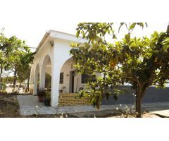 FINCA CON CASA EN CARTAYA