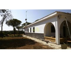 FINCA CON CASA EN CARTAYA