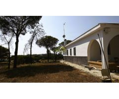 FINCA CON CASA EN CARTAYA