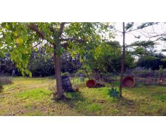 Casa en Finca de Cartaya