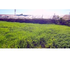 Casa en Finca de Cartaya