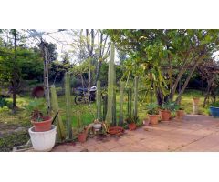 Casa en Finca de Cartaya