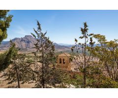 Chalet rural con casi 5000 metros de parcela