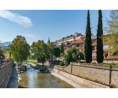 BONITO PISO JUNTO PASEO DE LOS BASILIOS- CENTRO CIUDAD