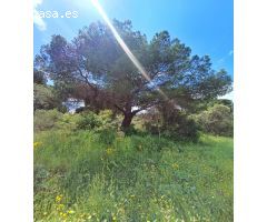 TEERENO EN SAN MARTIN / PANTANO SAN JUAN
