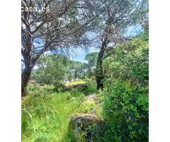 TEERENO EN SAN MARTIN / PANTANO SAN JUAN