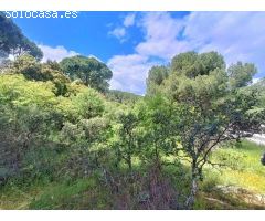 TEERENO EN SAN MARTIN / PANTANO SAN JUAN