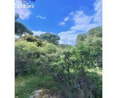 TEERENO EN SAN MARTIN / PANTANO SAN JUAN