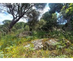 TEERENO EN SAN MARTIN / PANTANO SAN JUAN