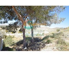 Solar en venta en ISLA PLANA