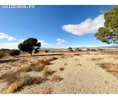 CASA DE CAMPO CON TERRENO EN LAS CAÑADAS DE ALHAMA