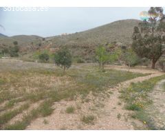 FINCA VALLADA CON AGUA Y FACILIDAD PARA ELECTRICIDAD
