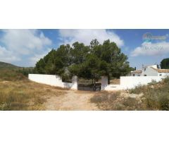 FANTASTICA FINCA CON CASA DE CAMPO EN FUENTE ALAMO Y GRAN TERRENO CULTIVABLE