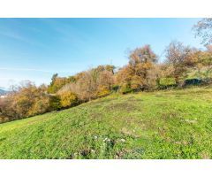 Terreno urbano en Venta en Santa Eulalia de Tineo, Asturias