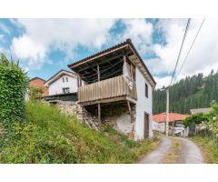 Casa en Venta en Cangas del Narcea, Asturias