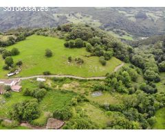 FINCA AGRARIA CERRA EN VILLAGARCIA GRADO