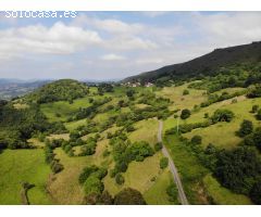 FINCA AGRARIA CERRA EN VILLAGARCIA GRADO