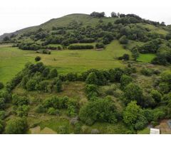 FINCA AGRARIA CERRA EN VILLAGARCIA GRADO