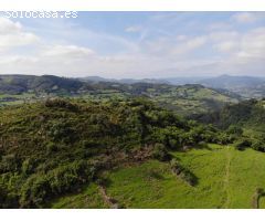 FINCA AGRARIA CERRA EN VILLAGARCIA GRADO