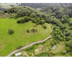 FINCA AGRARIA CERRA EN VILLAGARCIA GRADO