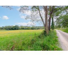 Terreno en venta en Llanera S/N