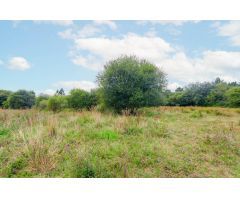 Terreno en venta en Llanera S/N