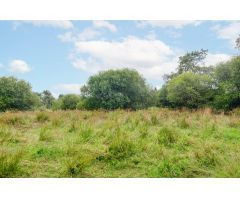 Terreno en venta en Llanera S/N